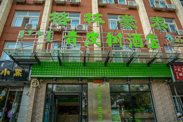 青皮树酒店加盟费多少?加盟不冷门,全年无淡季