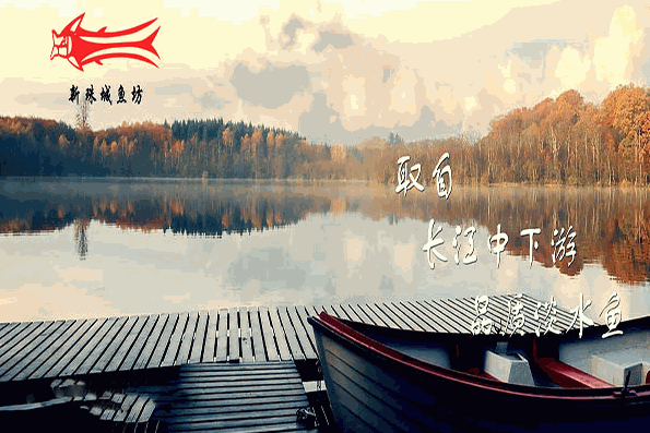 新珠城鱼坊