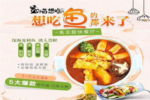 喵想吃啵啵鱼