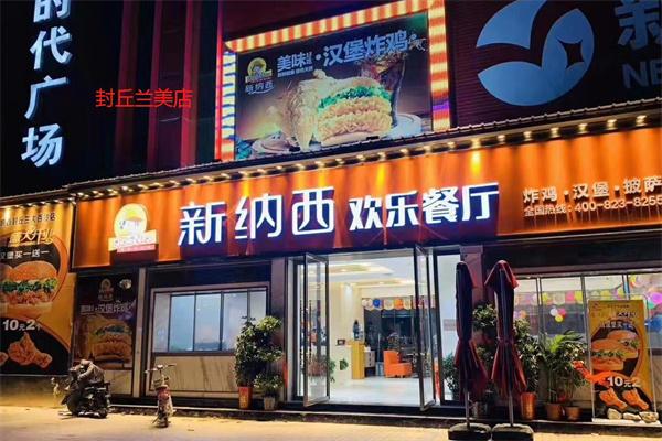 新纳西汉堡