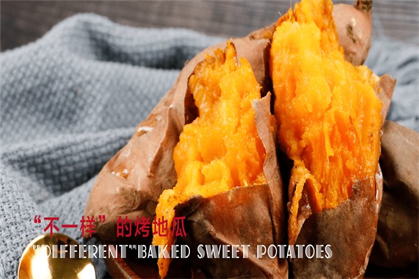 泉城烤薯