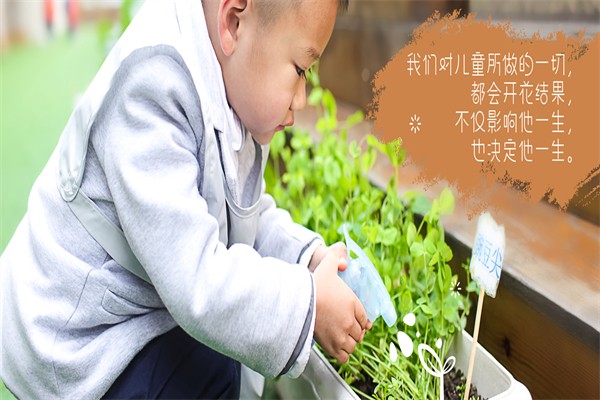 蒙田森教育