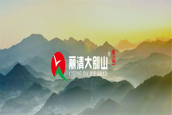 丽清大别山鹅火锅加盟