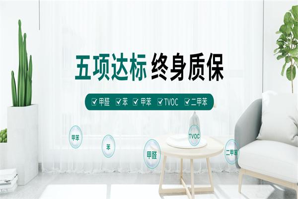 绿色亿家除甲醛