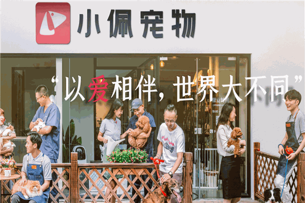 小佩宠物