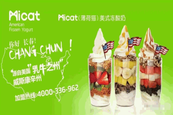 Micat（薄荷猫）美式冻酸奶加盟