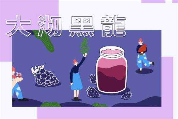 大沏黑龙加盟