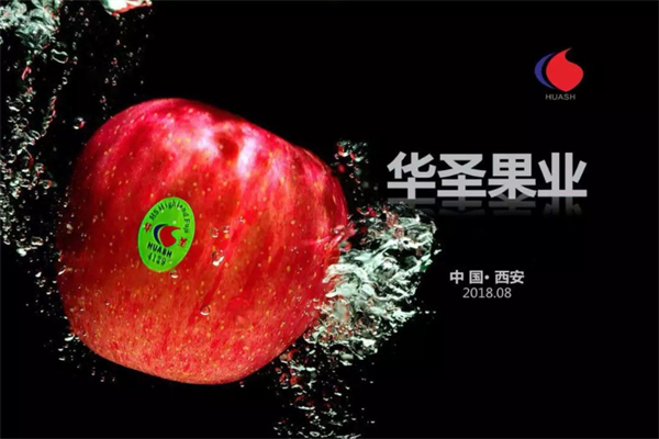 华圣水果加盟