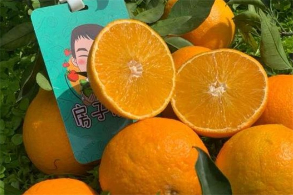 房子优果