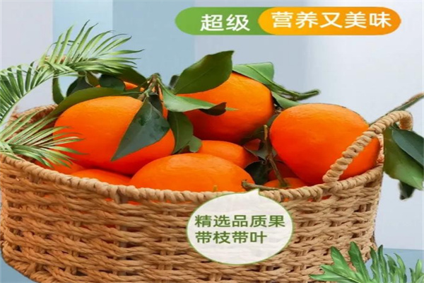 加盟