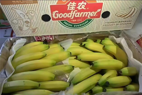 佳农水果