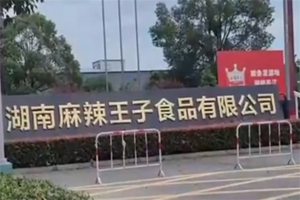 麻辣王子辣条加盟