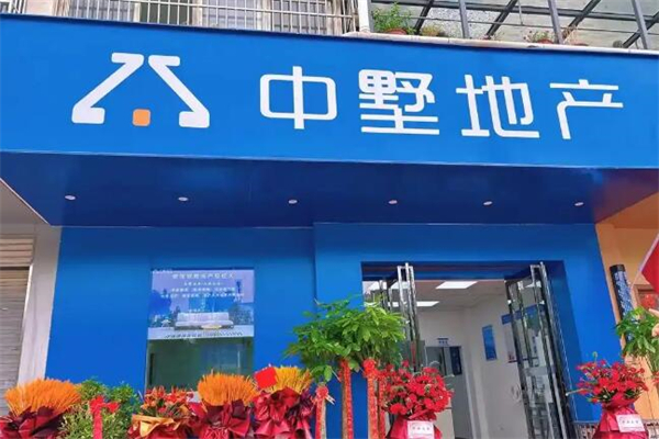 中墅地产