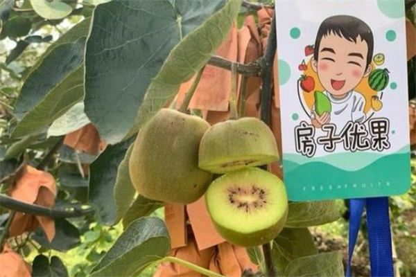 加盟