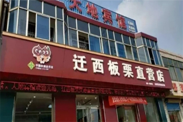 迁西板栗加盟