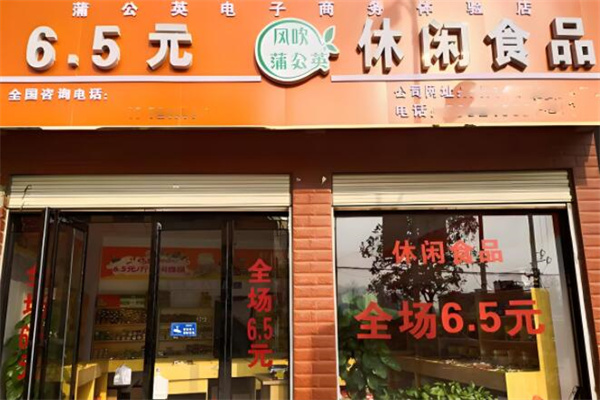 风吹蒲公英5.5元休闲食品