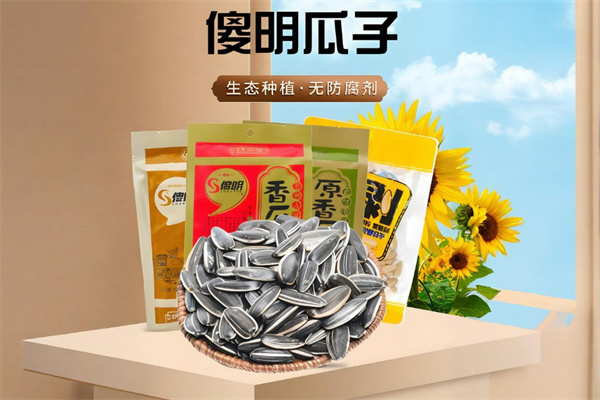 傻明瓜子加盟