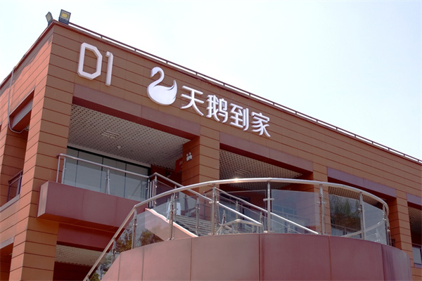 天鹅到家家政加盟