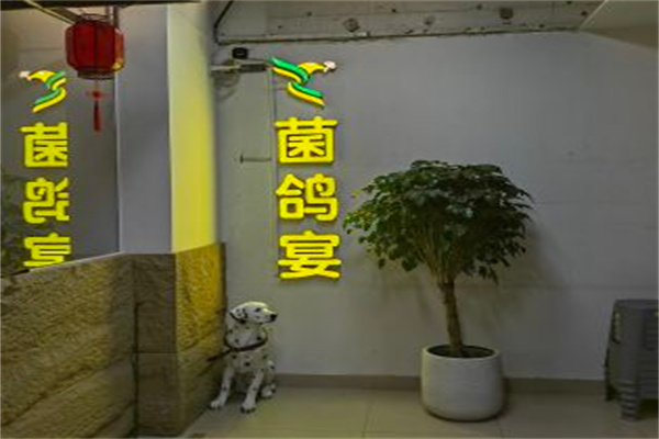 菌鸽宴养生火锅加盟