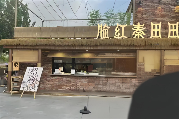 脸红秦田田奶茶加盟