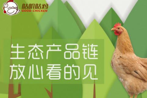 咕叽咕鸡滋补蒸鸡