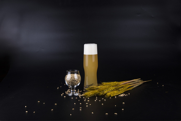 醉牛啤精酿啤酒