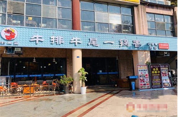 牛牛小牛当家牛排牛尾一锅香