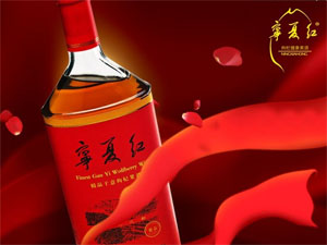 宁夏红枸杞酒加盟
