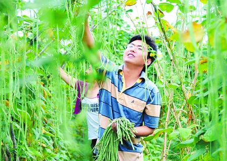 农业商机,为什么说未来30年最大商机在农业?