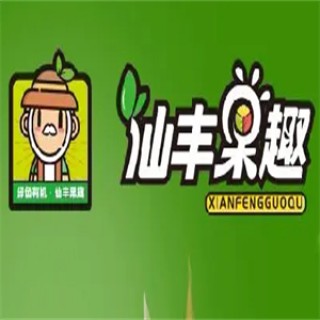仙丰果趣水果