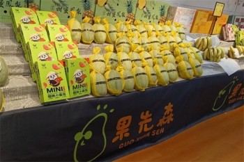 果先森水果