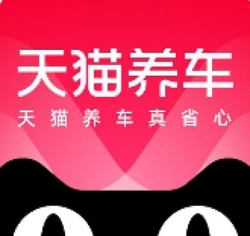 天猫养车
