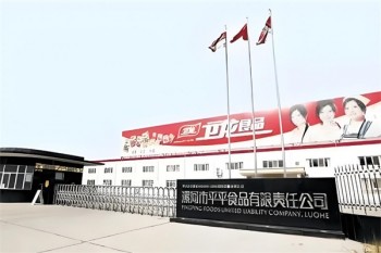 卫龙食品