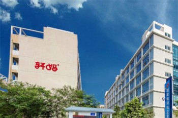 轩妈蛋黄酥