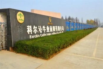 科尔沁牛业