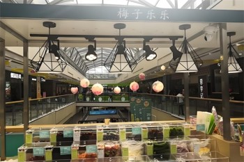 梅子乐乐零食