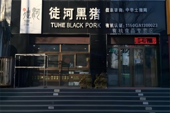 徒河黑猪