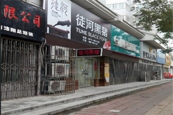 徒河黑猪