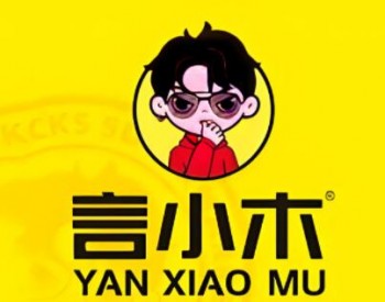 言小木零食