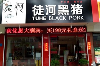 徒河黑猪