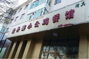 俭朴寨小公鸡