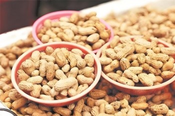 义田食品