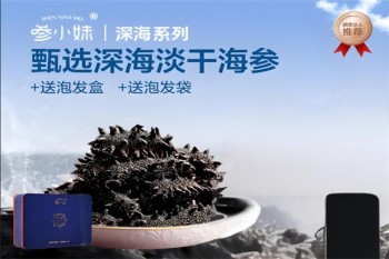 参小妹海参