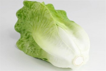 万银蔬菜食品