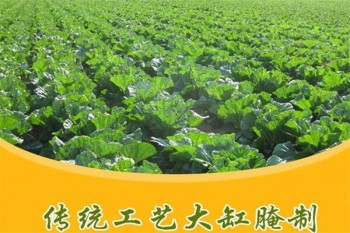 鸿鑫食品