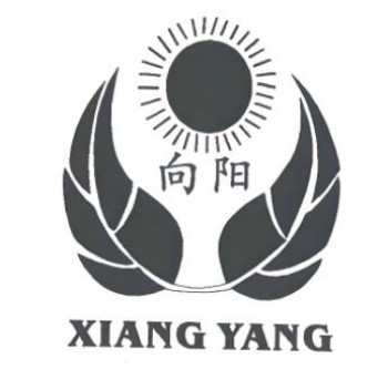 向阳瓜子