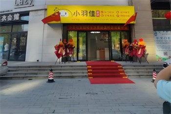小羽佳家政