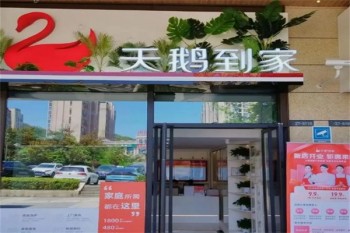 天鹅到家家政