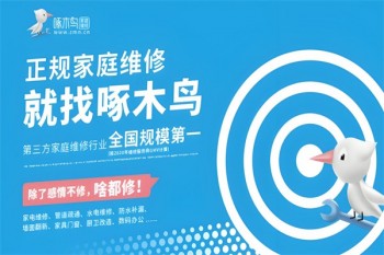 啄木鸟家庭维修