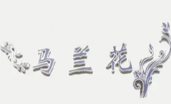 马兰花拉面